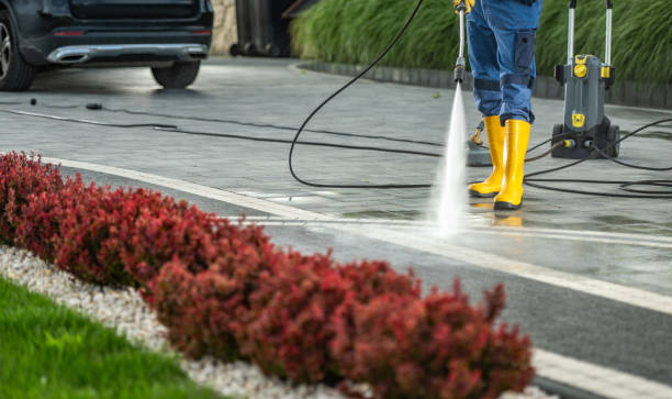 Trusted Lone Tree, IA Pressure Washing Services Experts